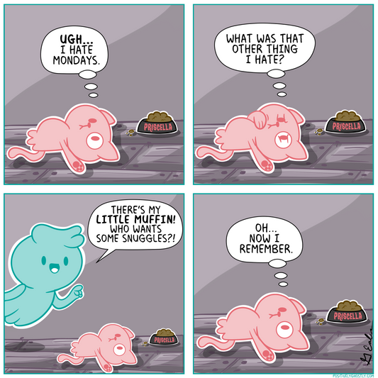 Things Ghost Cat Hates