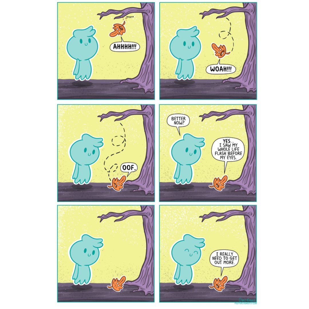 The Leaf Life